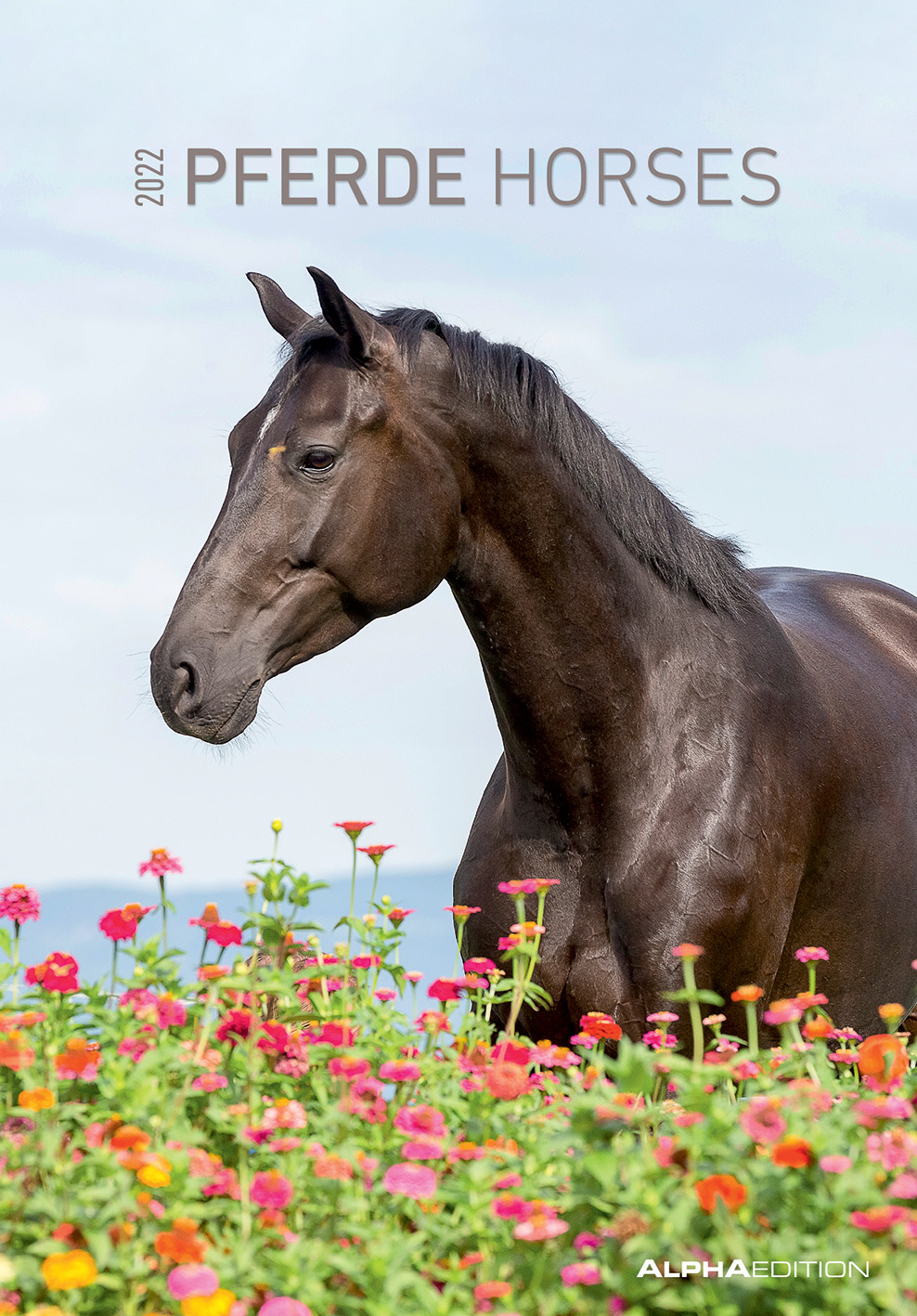 Bildkalender Pferde ALPHA 102826 23,7x34cm