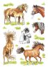 Schmucketikett gezeichnete Pferde 18 St. HERMA 3307 Decor