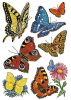 Schmucketikett Schmetterlinge 24 Stück HERMA 3801